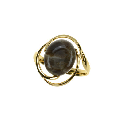 Anello in argento con Legno Fossile (dagen)