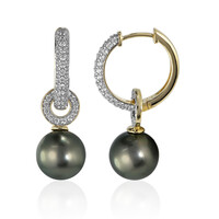 Orecchini in oro con Perla Tahitiana (TPC)