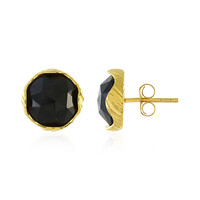Orecchini in argento con Onice Nero
