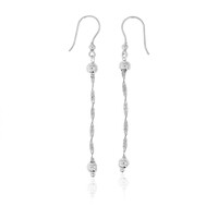 Orecchini in argento