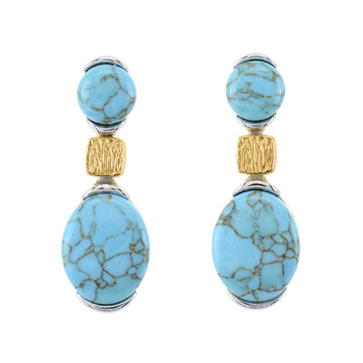 Orecchini in argento con Turchese (dagen)