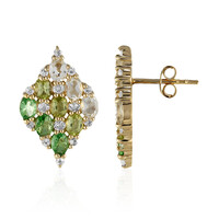 Orecchini in argento con Ametista Verde