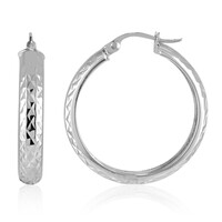 Orecchini in argento
