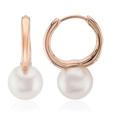 Orecchini in oro con Perla Akoya (TPC)