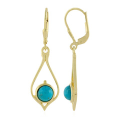 Orecchini in argento con Turchese