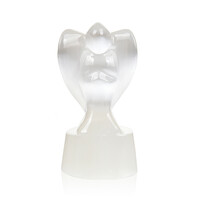 Figura con Selenite