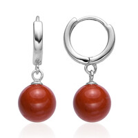 Orecchini in argento con Diaspro Rosso