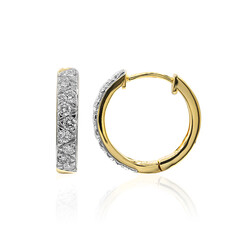 Orecchini in oro con Diamante IF (D)