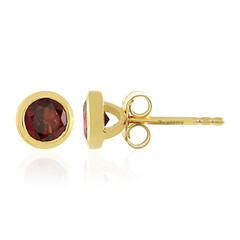 Orecchini in argento con Rodolite Lampone