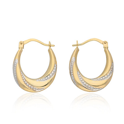 Orecchini in oro