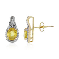 Orecchini in oro con Zaffiro Giallo (Adela Gold)