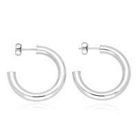 Orecchini in argento