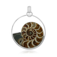 Ciondolo in argento con Ammonite