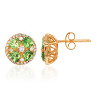 Orecchini in argento con Tsavorite