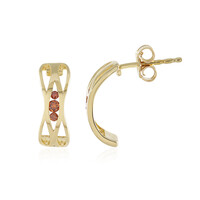 Orecchini in argento con Diamante Rosso I2