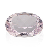 Gemma con Kunzite Brasiliana