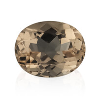 Gemma con Morganite Pesca