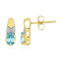 Orecchini in argento con Zircone Ratanakiri