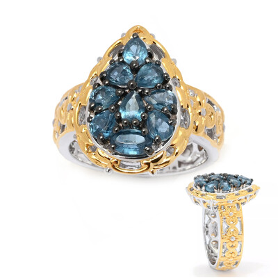 Anello in argento con Cianite Blu Foglia di Tè (Gems en Vogue)