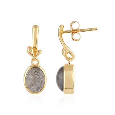 Orecchini in argento con Labradorite