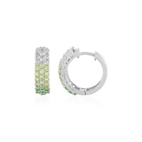 Orecchini in argento con Tsavorite del Kenya