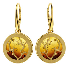 Orecchini in argento con Ambra Baltica