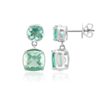 Orecchini in argento con Fluorite Braldu (Pallanova)