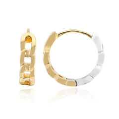 Orecchini in argento