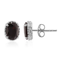 Orecchini in argento con Granato