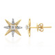 Orecchini in oro con Diamante IF (D) (Annette)