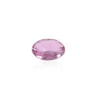 Gemma con Zaffiro Ceylon Rosa
