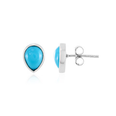 Orecchini in argento con Turchese Arizona
