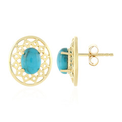 Orecchini in argento con Turchese