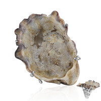Anello in argento con Conchiglia (TPC)
