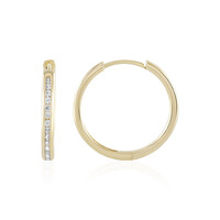 Orecchini in argento con Zircone