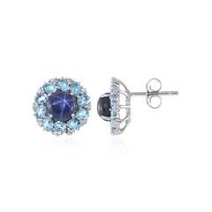 Orecchini in argento con Zaffiro Stellato Blu