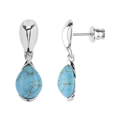 Orecchini in argento con Turchese (dagen)