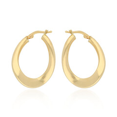 Orecchini in oro