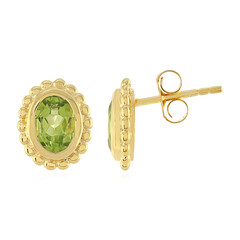 Orecchini in argento con Peridoto