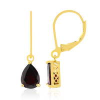 Orecchini in argento con Granato