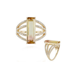 Anello in oro con Tormalina Bicolore (AMAYANI)
