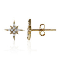 Orecchini in argento con Zircone