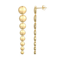Orecchini in argento