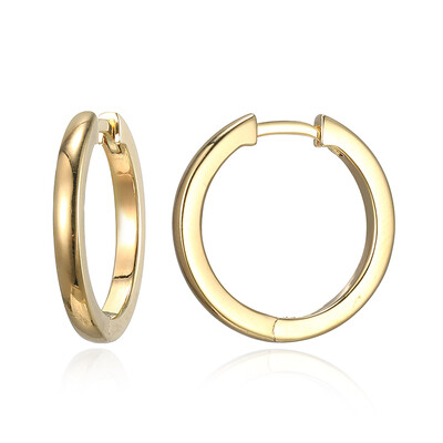 Orecchini in argento