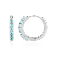 Orecchini in argento con Apatite Blu