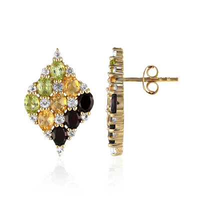 Orecchini in argento con Granato
