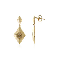 Orecchini in argento con Diamante Cioccolato I3