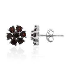 Orecchini in argento con Granato