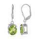 Orecchini in argento con Peridoto