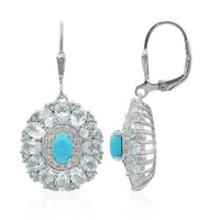 Orecchini in argento con Turchese Arizona